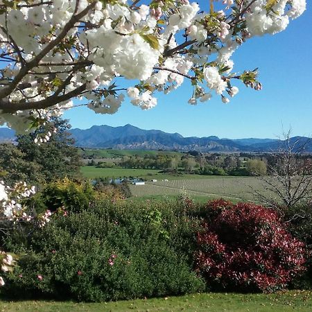 Omaka Heights Countrystay Renwick Exterior photo