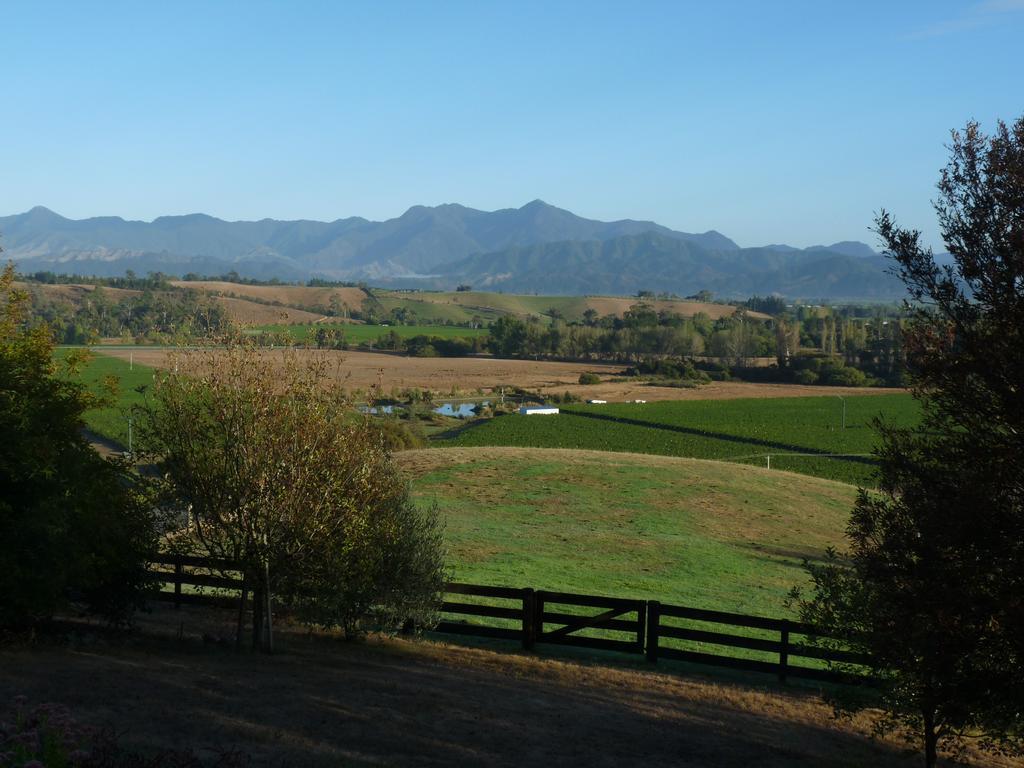 Omaka Heights Countrystay Renwick Exterior photo