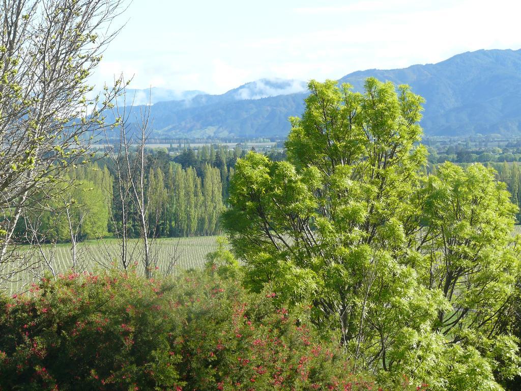 Omaka Heights Countrystay Renwick Exterior photo