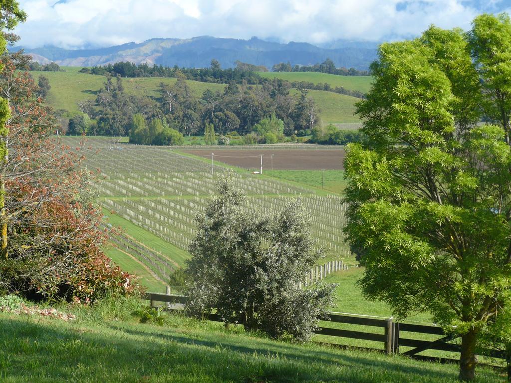 Omaka Heights Countrystay Renwick Exterior photo