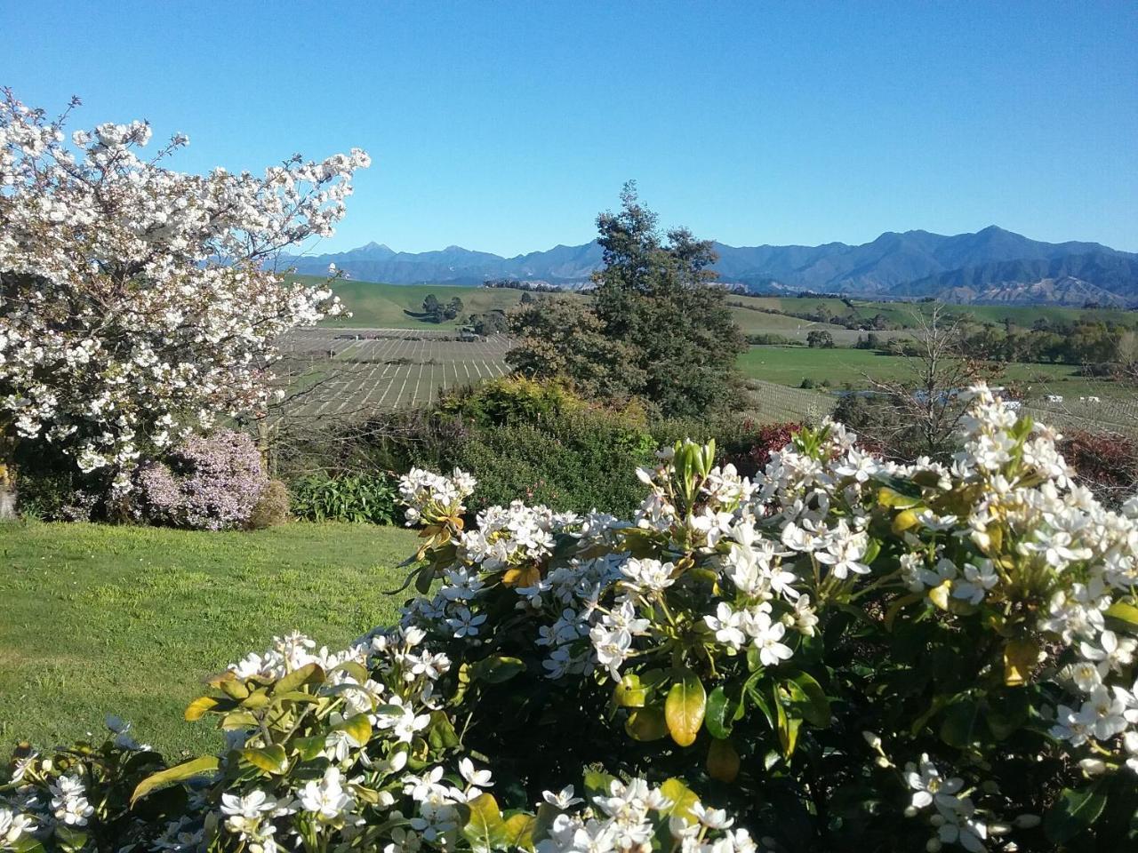 Omaka Heights Countrystay Renwick Exterior photo