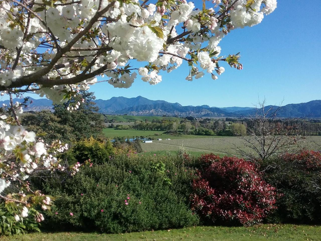 Omaka Heights Countrystay Renwick Exterior photo